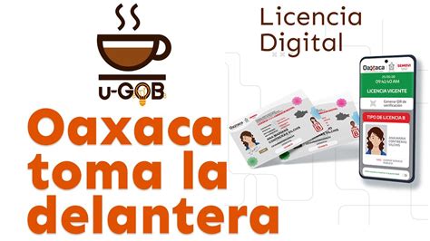 cita para sacar licencia de conducir oaxaca|Licencia de Conducir OAXACA ️ ®【2024。